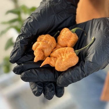 California Reaper Seeds - The Pepper Pantry (Formerly Marie Sharp's)